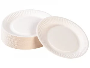 Assiette en carton