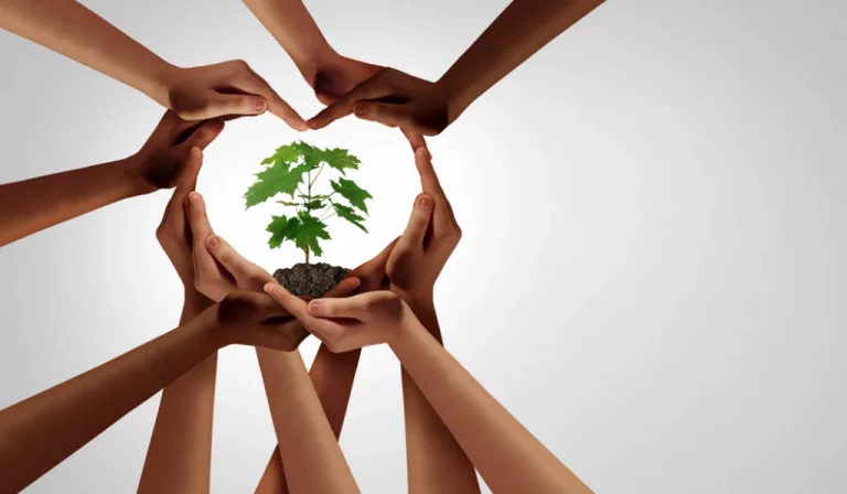 protection environnement