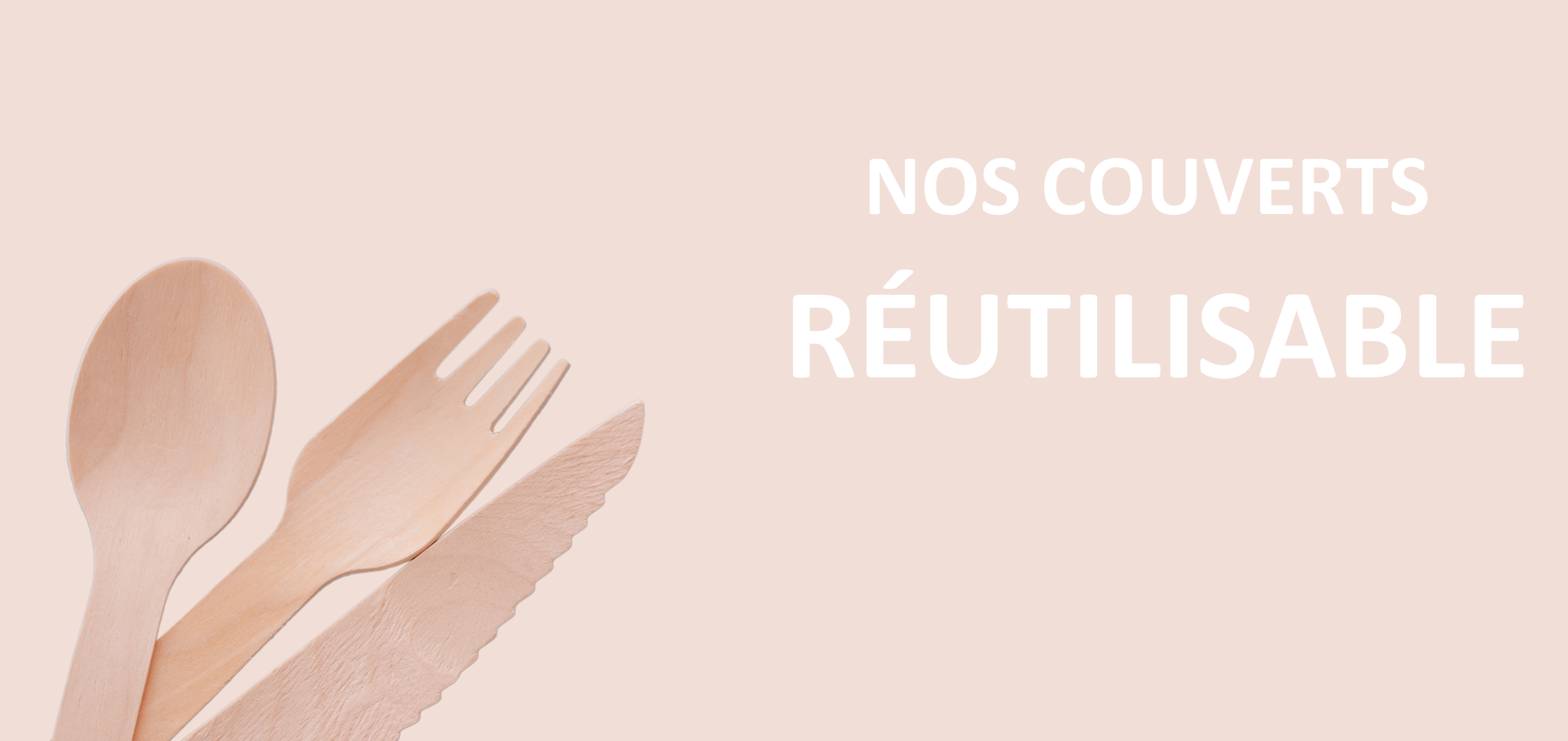 Couverts jetables écologique