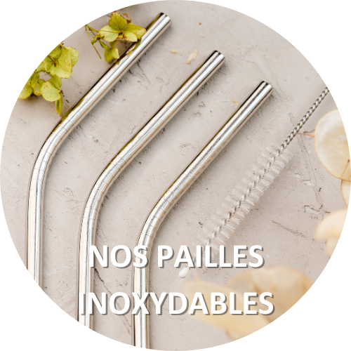 Pailles inoxydables