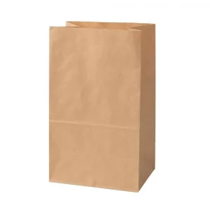 sac kraft papier