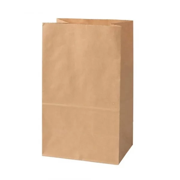 sac kraft papier